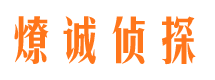 承德县市调查公司